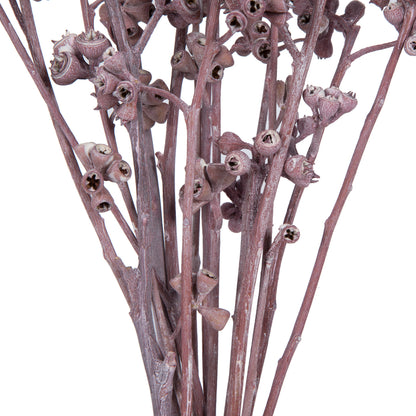 Vickerman Natural Botanicals 13" x 1-3" Red Gum Branch Erika Frosted 14 stems per unit