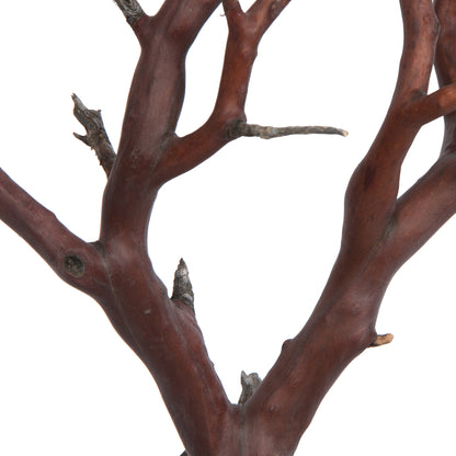 Vickerman Manzanita Tree Natural 24" Dried
