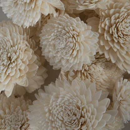 Vickerman Natural Botanicals 1.6"/2.4"/3.2" Assorted Natural Dried Zinnia Sola Flower Head 24/bag.