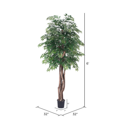 Vickerman 6' Artificial Ming Aralia Executive Black Plastic Pot
