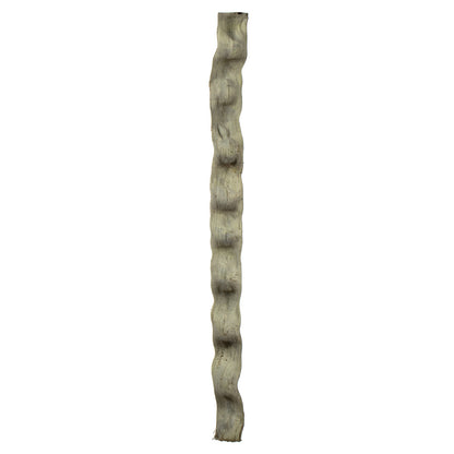 Vickerman 36-40" Frosted Green Monkeys Ladder Vine Pack of 2 Dried