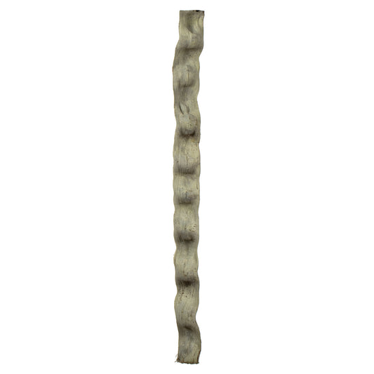 Vickerman 36-40" Frosted Green Monkeys Ladder Vine Pack of 2 Dried