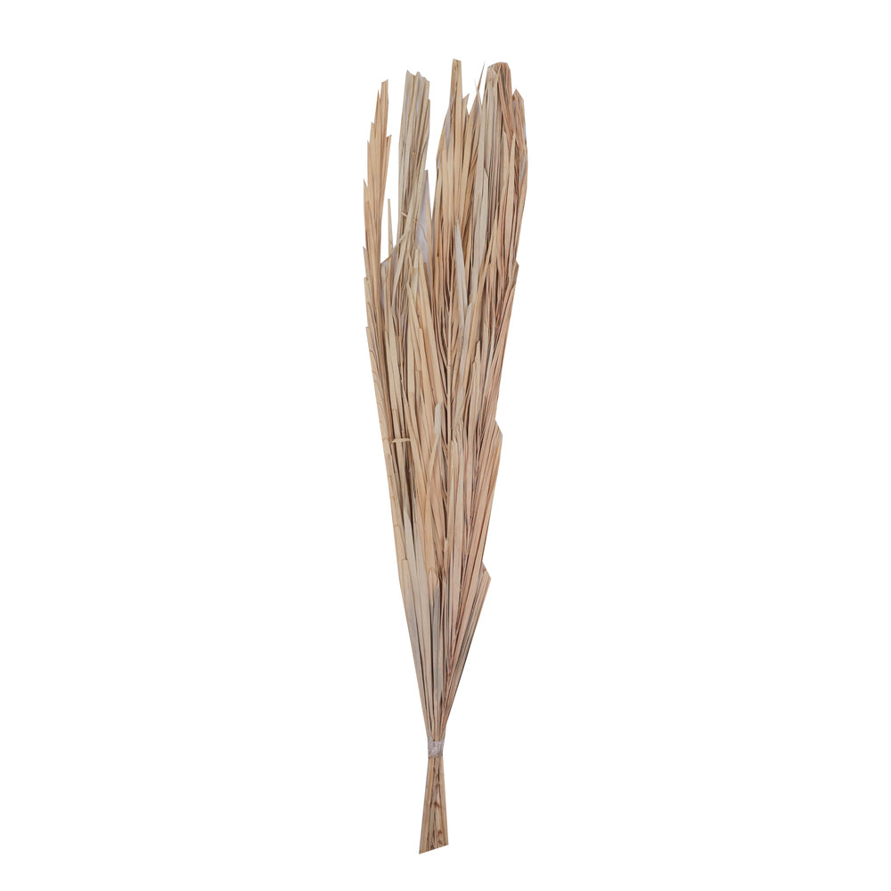 Vickerman Natural Botanicals 25" Bleached Canna Leaf  10 Pieces per Bunch.