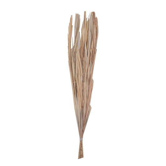 Vickerman Natural Botanicals 25" Bleached Canna Leaf  10 Pieces per Bunch.