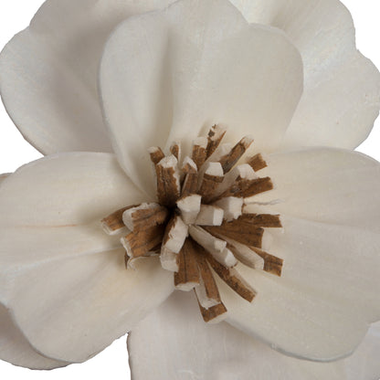 Vickerman Natural Botanicals 1.6"/2.4"/3.2" Assorted Natural Dried Anemone Sola Flower Head 24/bag.