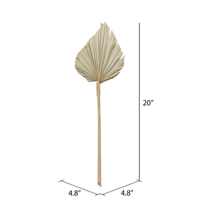 Vickerman Natural Botanicals 20" Palm Spear Natural. Includes 50 pieces per Pack.