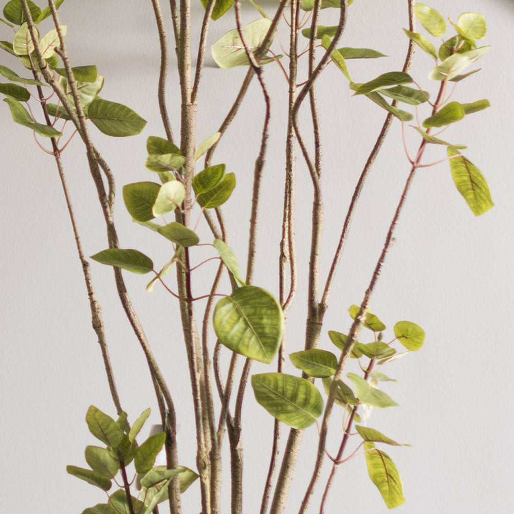 Vickerman 5' Artificial Green Potted Cotinus Coggygria Tree.