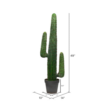 Vickerman 49" Artificial Cactus In Black Pot.