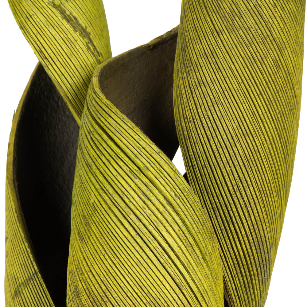 Vickerman 16 - 20" Basil Coco Paddle - Curled 6 Piece Bundle Dried