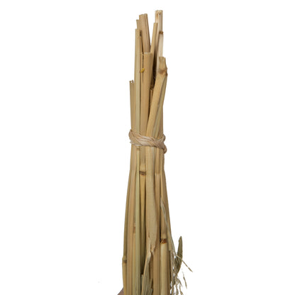 Vickerman Natural Botanicals 22-26" Natural Dried Panicum 4 oz. Bunch.