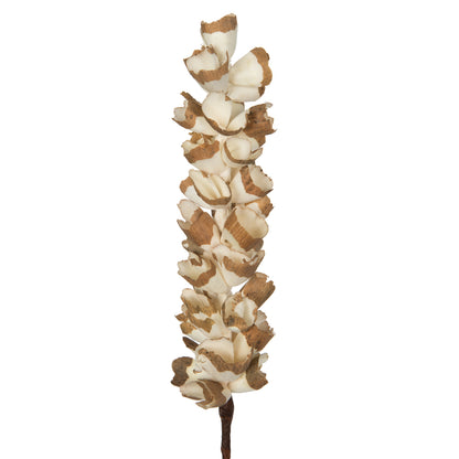 Vickerman Natural Botanicals 24" Natural Dried Sola Scrape Skin Cone- 12 sticks/polybag. Preserved.