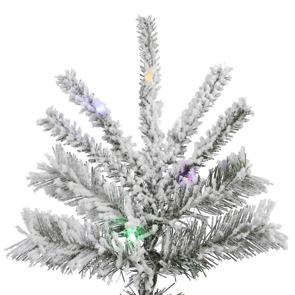 Vickerman 6.5' Flocked Sierra Fir Artificial Christmas Tree Multi-Colored LED Dura-Lit lights