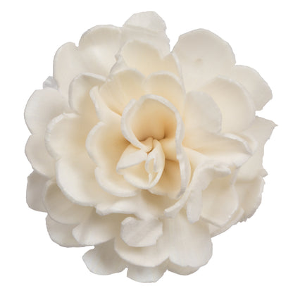 Vickerman Natural Botanicals 1.6"/2.4"/3.2" Assorted Natural Dried Camellia Sola Flower Head 24/bag.