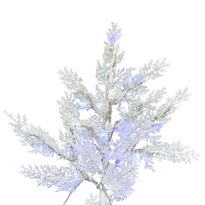 Vickerman 12' x 69" Flocked Cedar Pine Artificial Christmas Tree Low Voltage LED Pure White and Blue Wide Angle 3mm Twinkle Lights