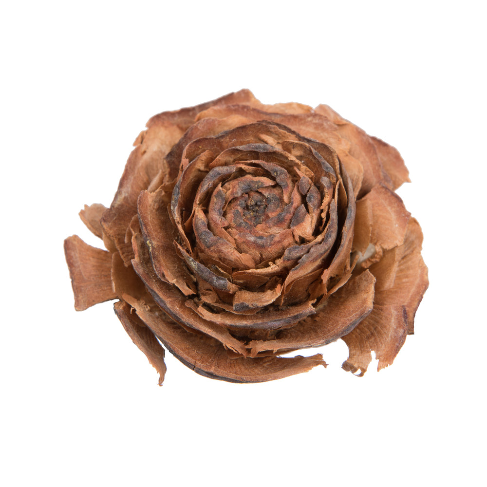 Vickerman Natural Botanicals 1.3"-1.8" Cedar Rose 100 Pieces per Polybag. 100 cedar roses per unit.