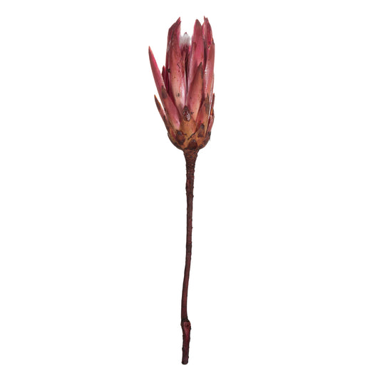 Vickerman 14" Erica Pink Repens on a Natural Stem.  Includes 6 Stems per Bundle Dried