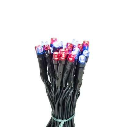 Vickerman Battery Operated Multi-colored LED Outdoor 50 Light Set Automatic On-Off Timer.