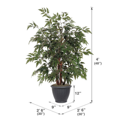 Vickerman 4' Artificial Ming Aralia Bush Gray Round Plastic Container.