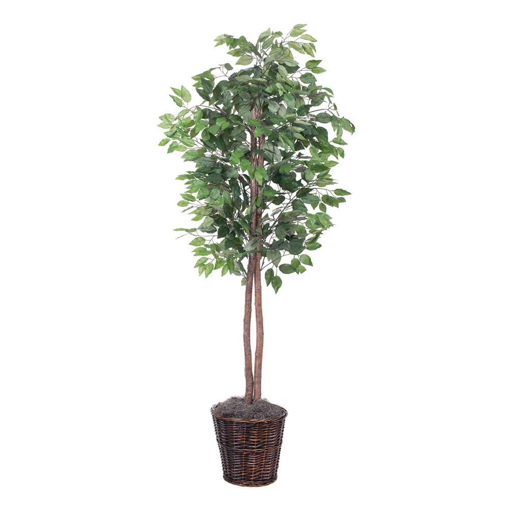 Vickerman 6' Artificial Ficus Rattan Basket