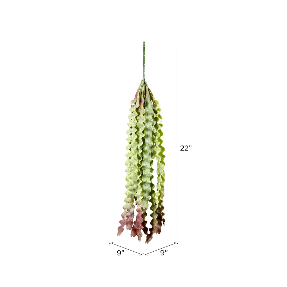 Vickerman 22" Artificial Green Seatangle Plant 2/pk