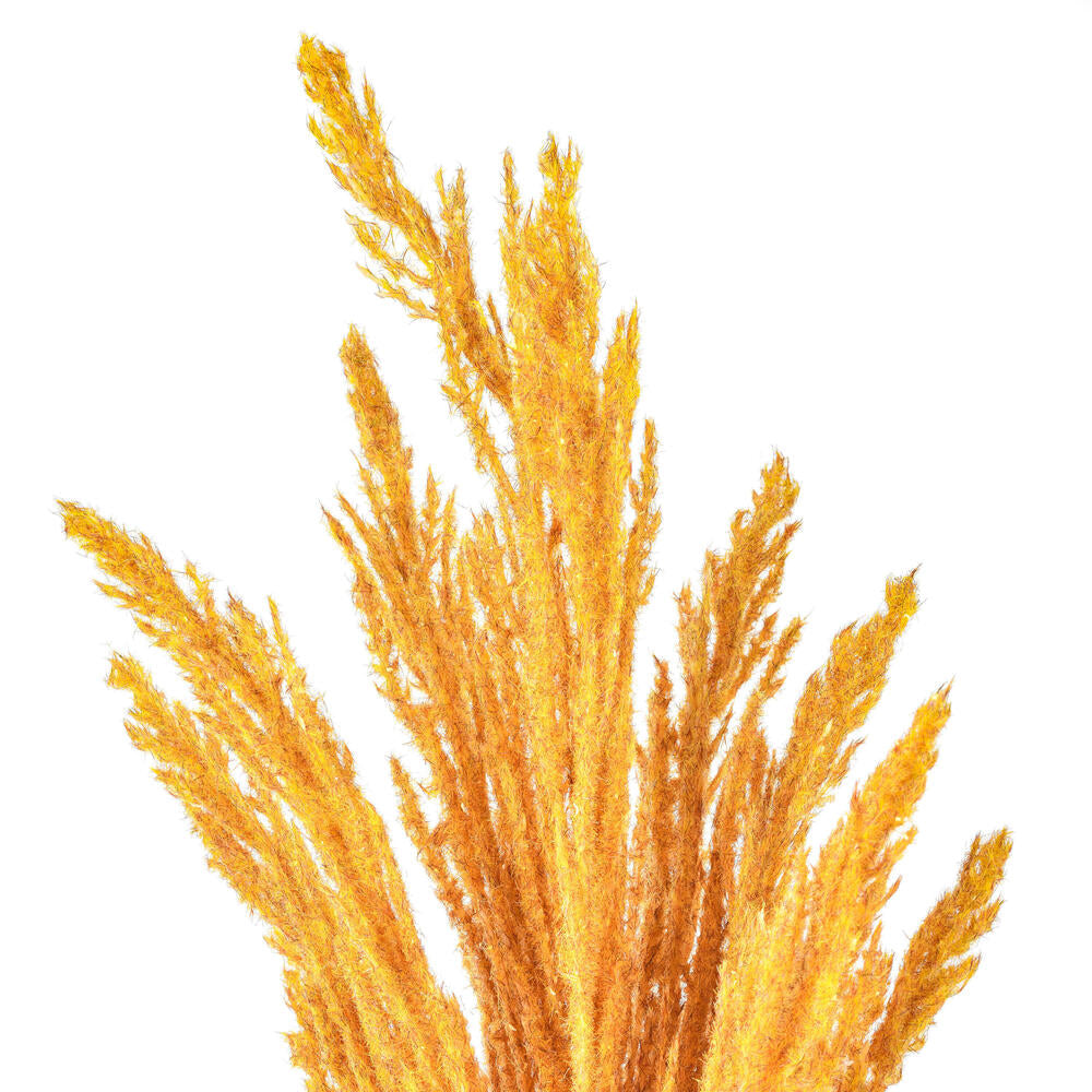 Vickerman 51" Light Gold Artificial Reed Spray 2 per bundle.
