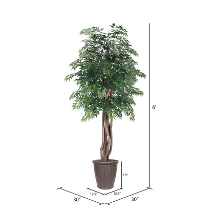 Vickerman 6' Artificial Ming Aralia Executive Tree Brown Round Plastic Container.