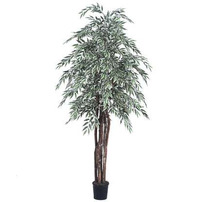 Vickerman 6' Artificial Variegated Smilax Executive Black Plastic Pot