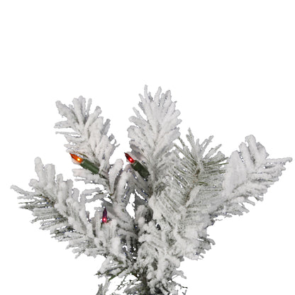 Vickerman 8.5' Flocked Pacific Artificial Christmas Tree Multi-Colored Lights