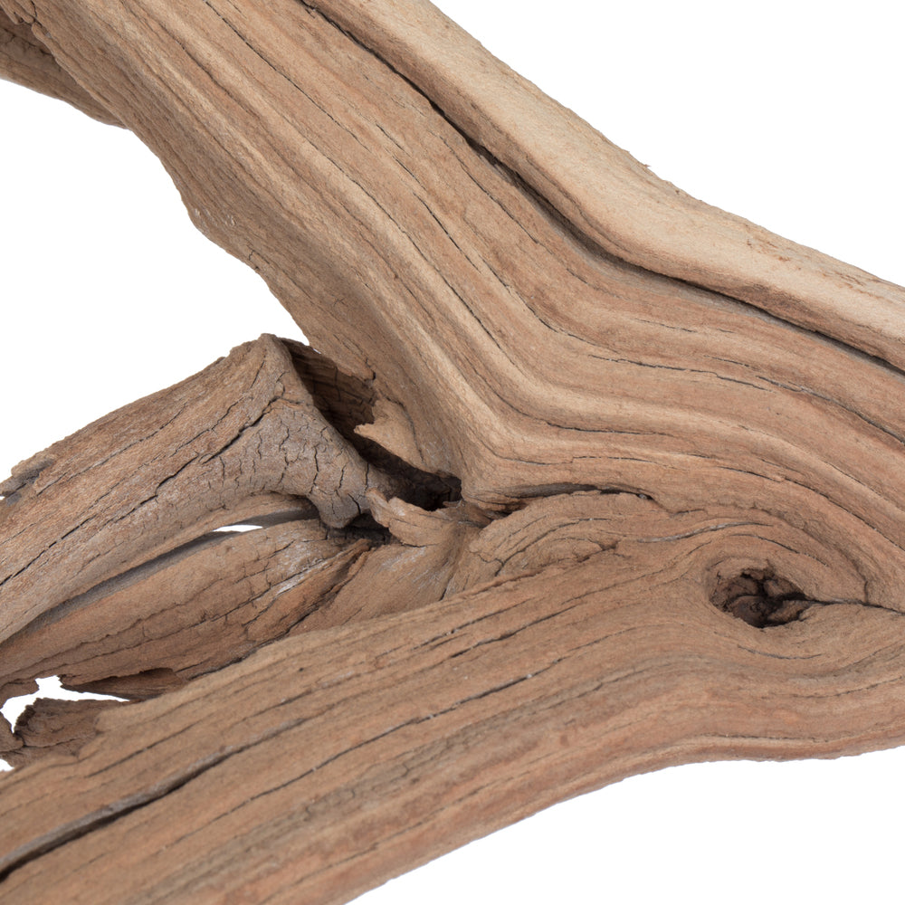 Vickerman Ghostwood Manzanita Sand Blasted 24" Dried