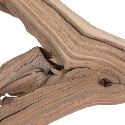 Vickerman Ghostwood Manzanita Sand Blasted 24" Dried