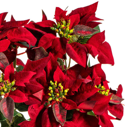 Vickerman 18" Red Poinsettia and Leaf Bush.