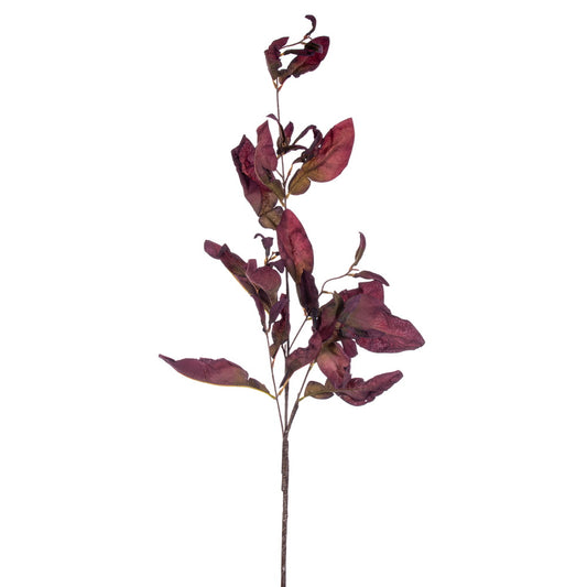 Vickerman 44.5" Plum Artificial Dried Pomelo Leaves Spray 2 per bag.