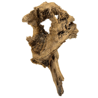 Vickerman 4 -18" Assorted Cholla Odds & Ends bulk case. Dried