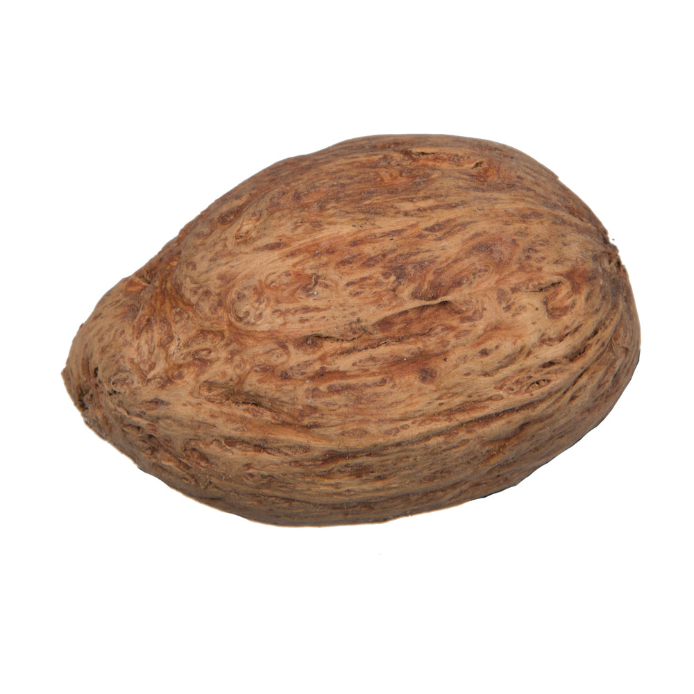 Vickerman Natural Botanicals 1.18" Amra Pod Natural. Includes 4.4 Lbs per Pack