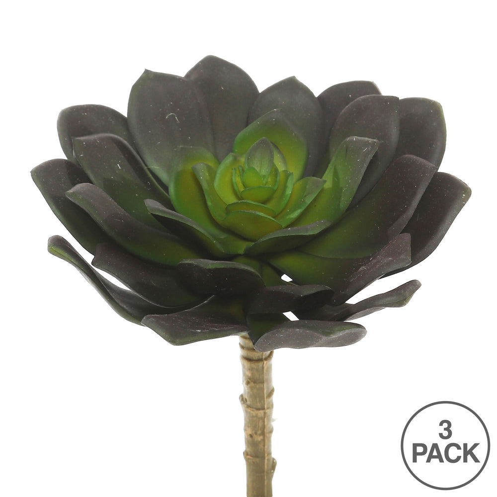 Vickerman 5.75" Artificial Green Echeveria Pick Set of 3