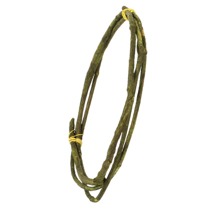 Vickerman 95-100" Basil Tranca Vine Coil 1 coil Dried