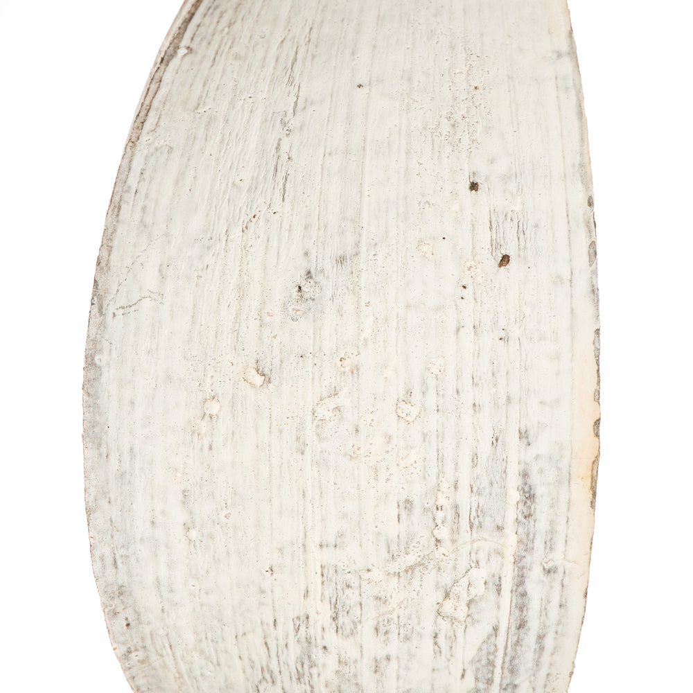 Vickerman PALM PADDLES MINIWHITE WASH 15 PIECE BAG (CPD-25) Dried