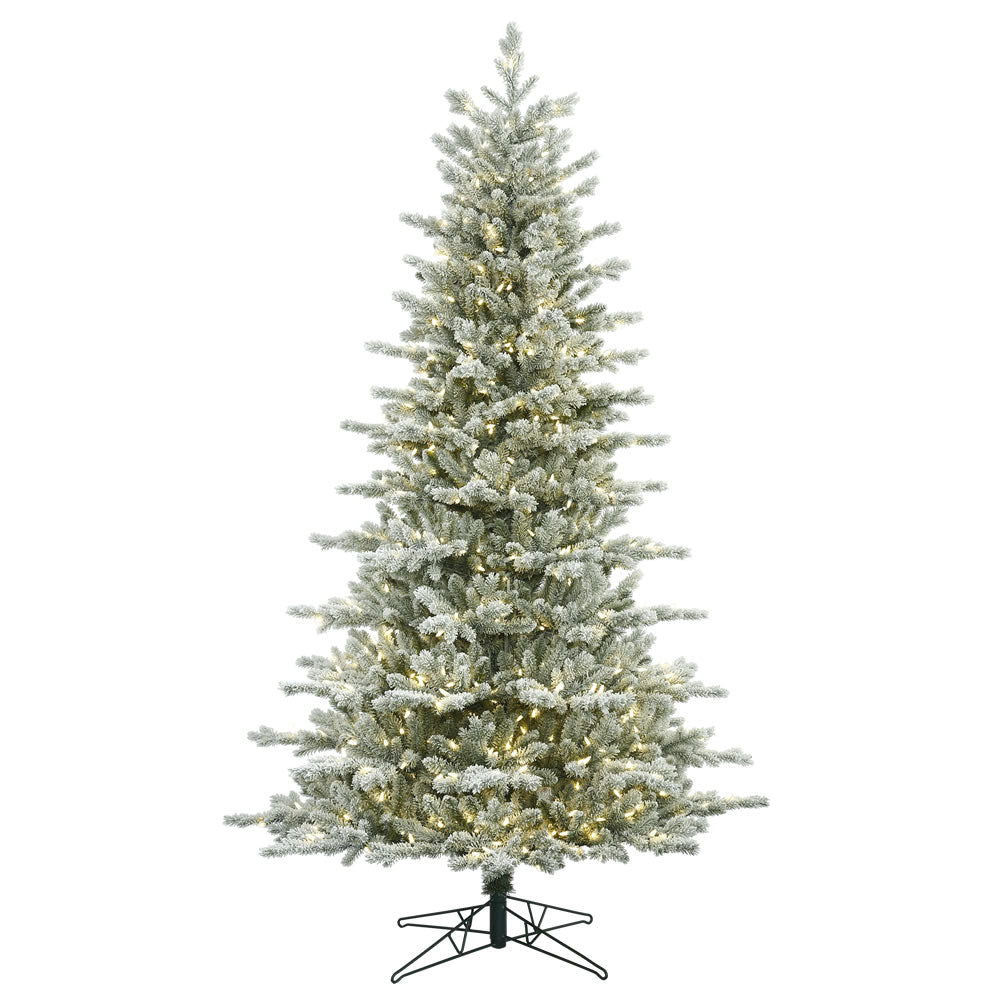 Vickerman 3.5' Frosted Eastern Fraser Fir Artificial Christmas Tree Warm White Dura-lit LED Lights