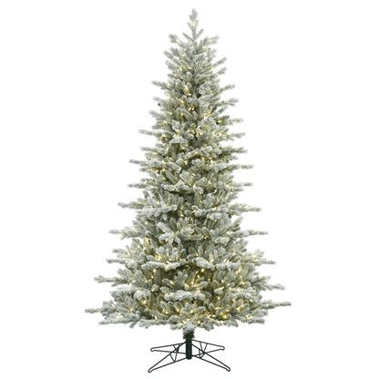 Vickerman 3.5' Frosted Eastern Fraser Fir Artificial Christmas Tree Warm White Dura-lit LED Lights