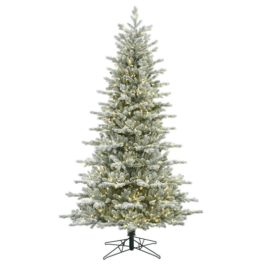 Vickerman 3.5' Frosted Eastern Fraser Fir Artificial Christmas Tree Warm White Dura-lit LED Lights