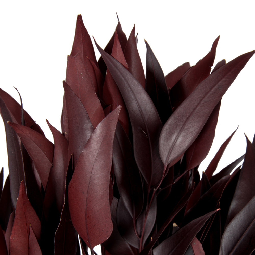 Vickerman 18" Red Weeping Willow Eucalyptus Foliage 5 oz Bundle Preserved