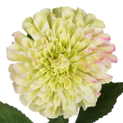 Vickerman 24" Artificial Green Zinnia Stem Set of 3