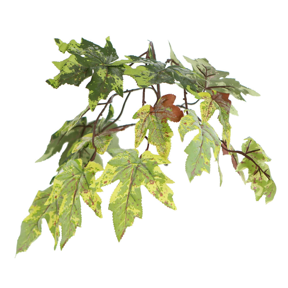 Vickerman 6' Artificial Frosted Maple Black Plastic Pot
