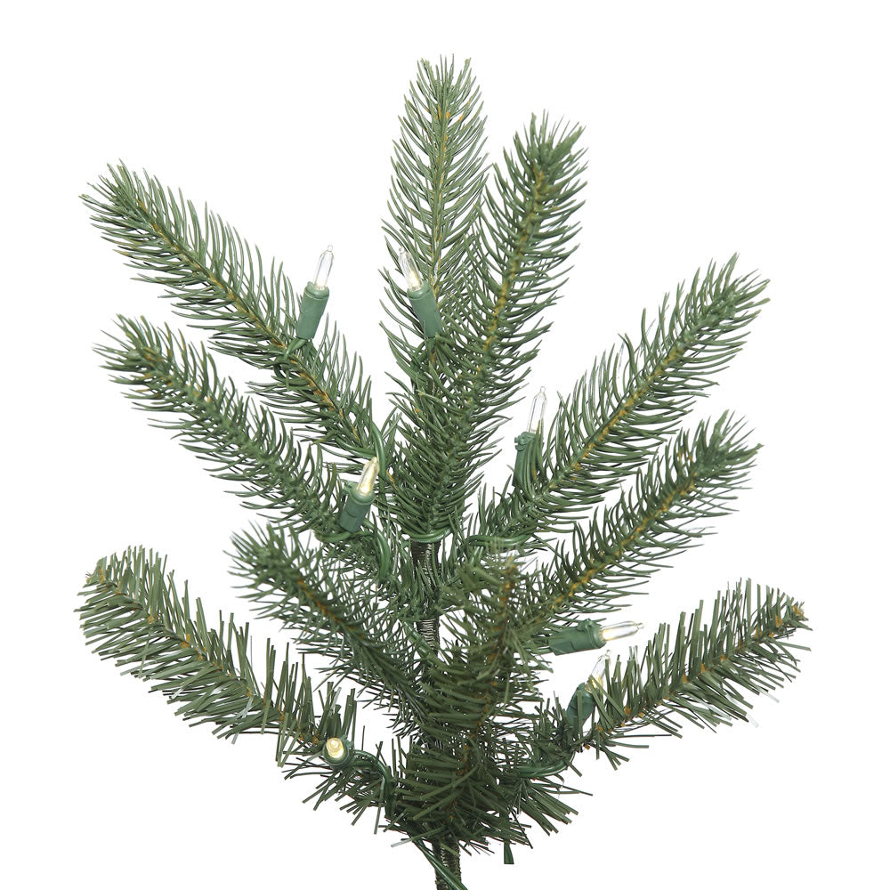 Vickerman 10' Colorado Spruce Artificial Christmas Tree Warm White LED Lights