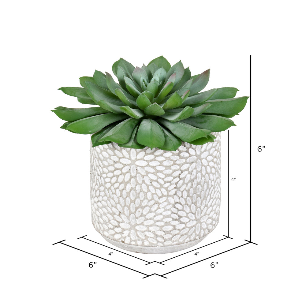 Vickerman 6" Artificial Green Potted Succulent Pack of 2
