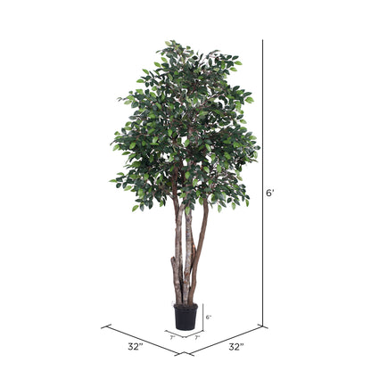 Vickerman 6' Artificial Mini Ficus Executive Black Plastic Pot