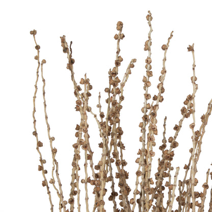 Vickerman 36-38" Natural Deglet Nour Branch Bundle