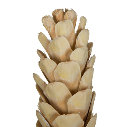 Vickerman Natural Botanicals 5.9" Strobus Medium Bleached. Includes 15 pieces per unit