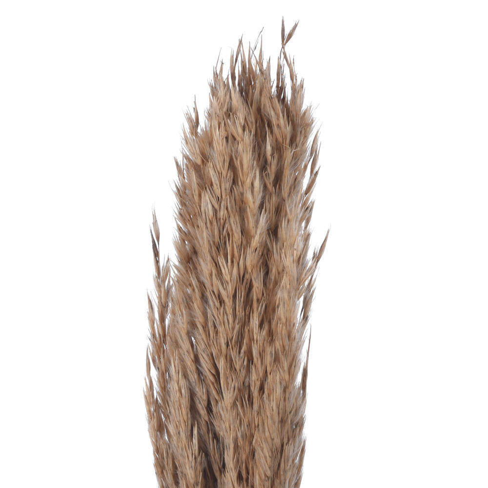 Vickerman Natural Botanicals 39 - 47" Natural Dried Pampas 24 per bag.