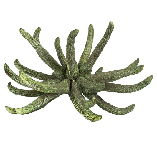 Vickerman 3-4" Frosted Green Spider Claws Includes 16-20 pieces per tray Dried